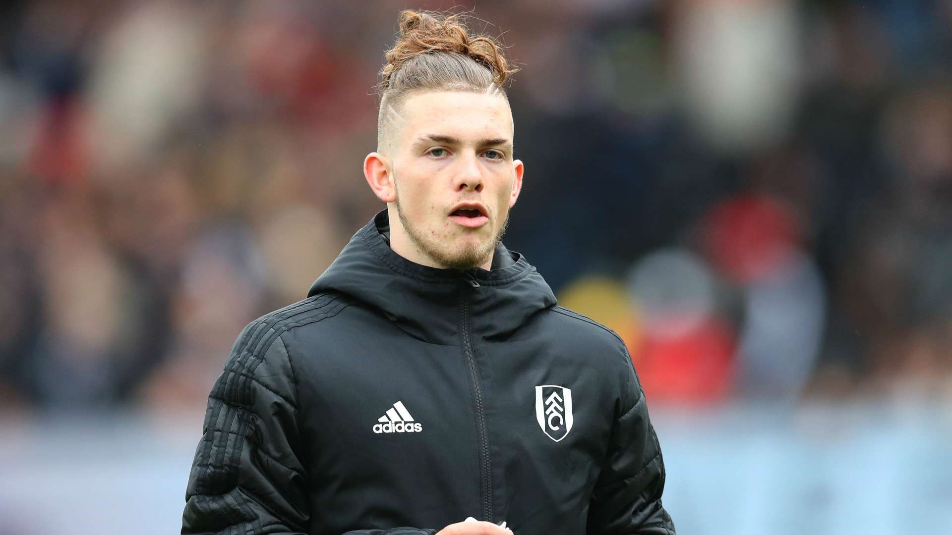 Harvey Elliott Fulham 2018-19