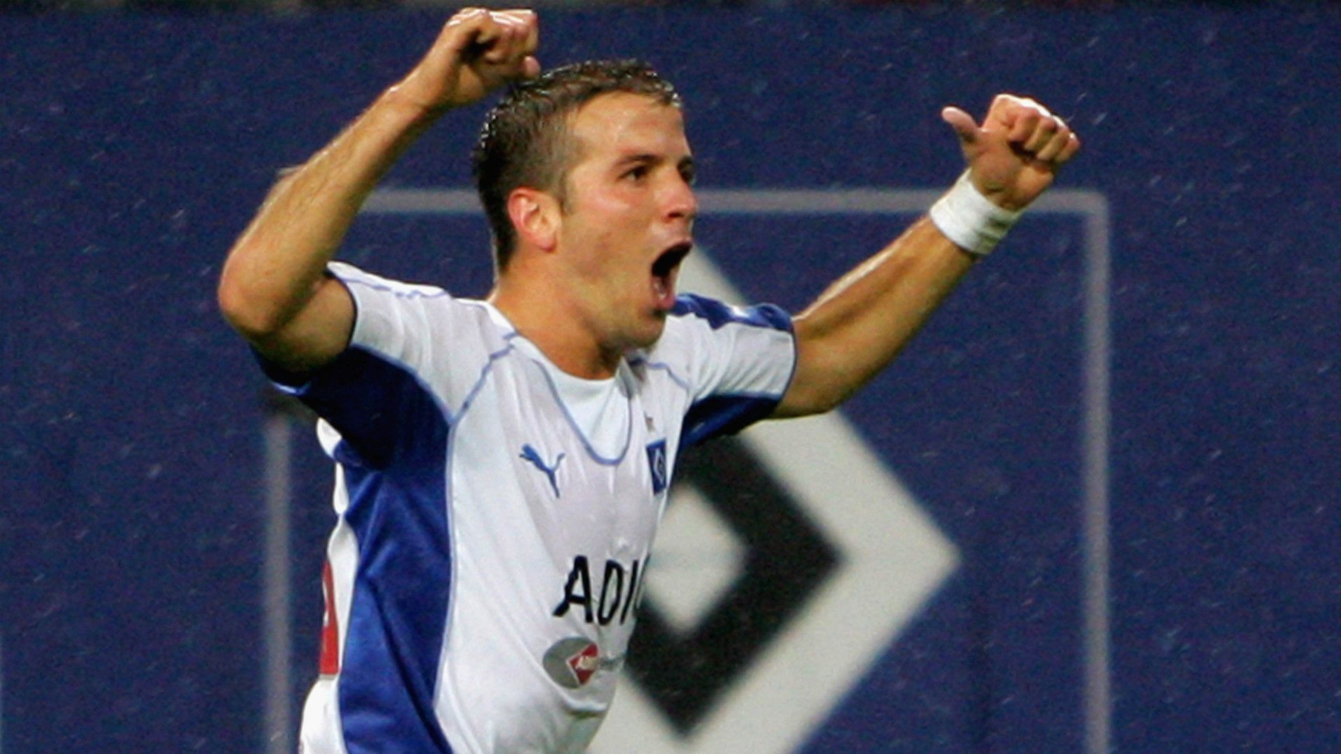 Rafael van der Vaart Hamburger SV