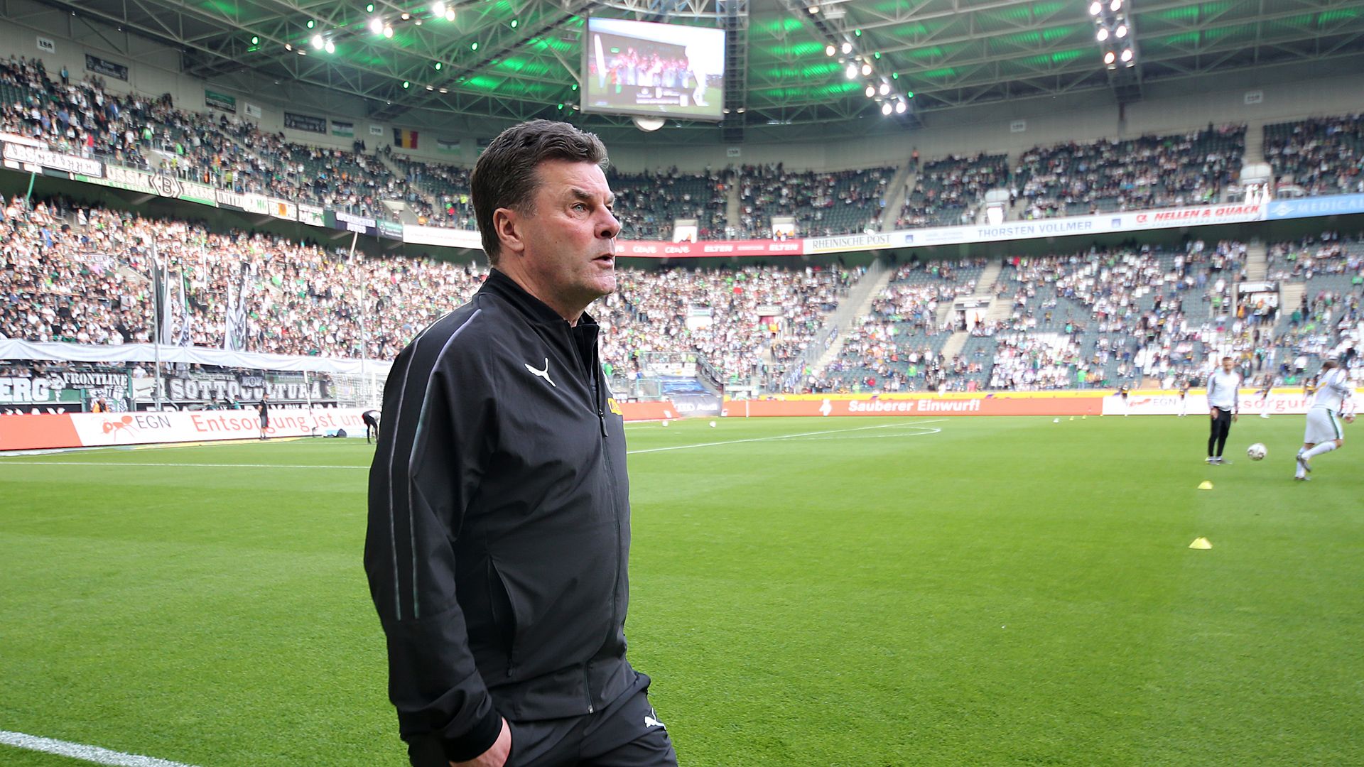 Dieter Hecking Borussia Mönchengladbach