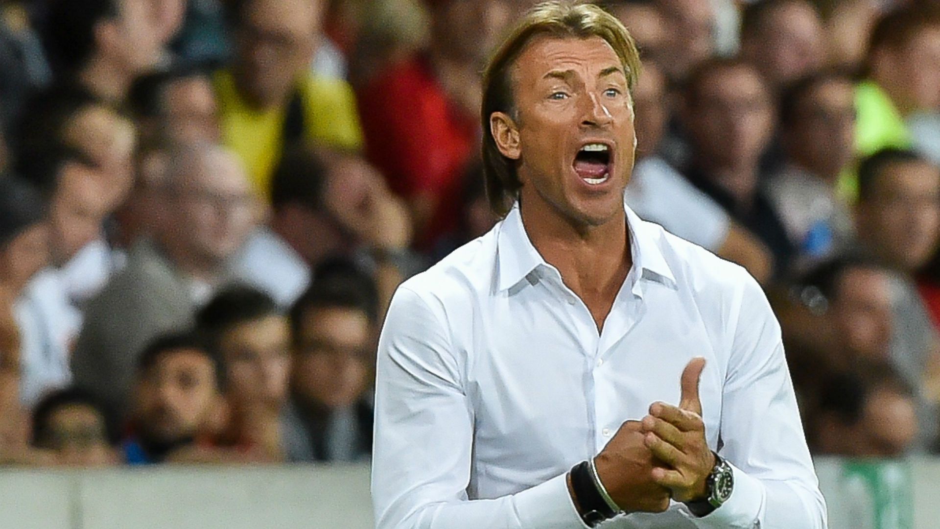 Herve Renard Lille Ligue 1