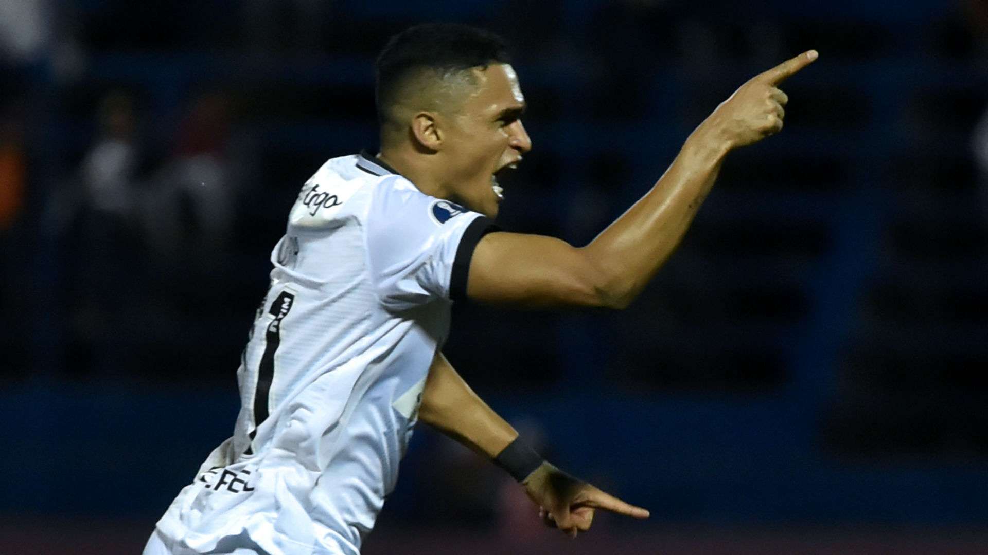 Erik Botafogo Sol de America Sul-Americana 22 05 2019