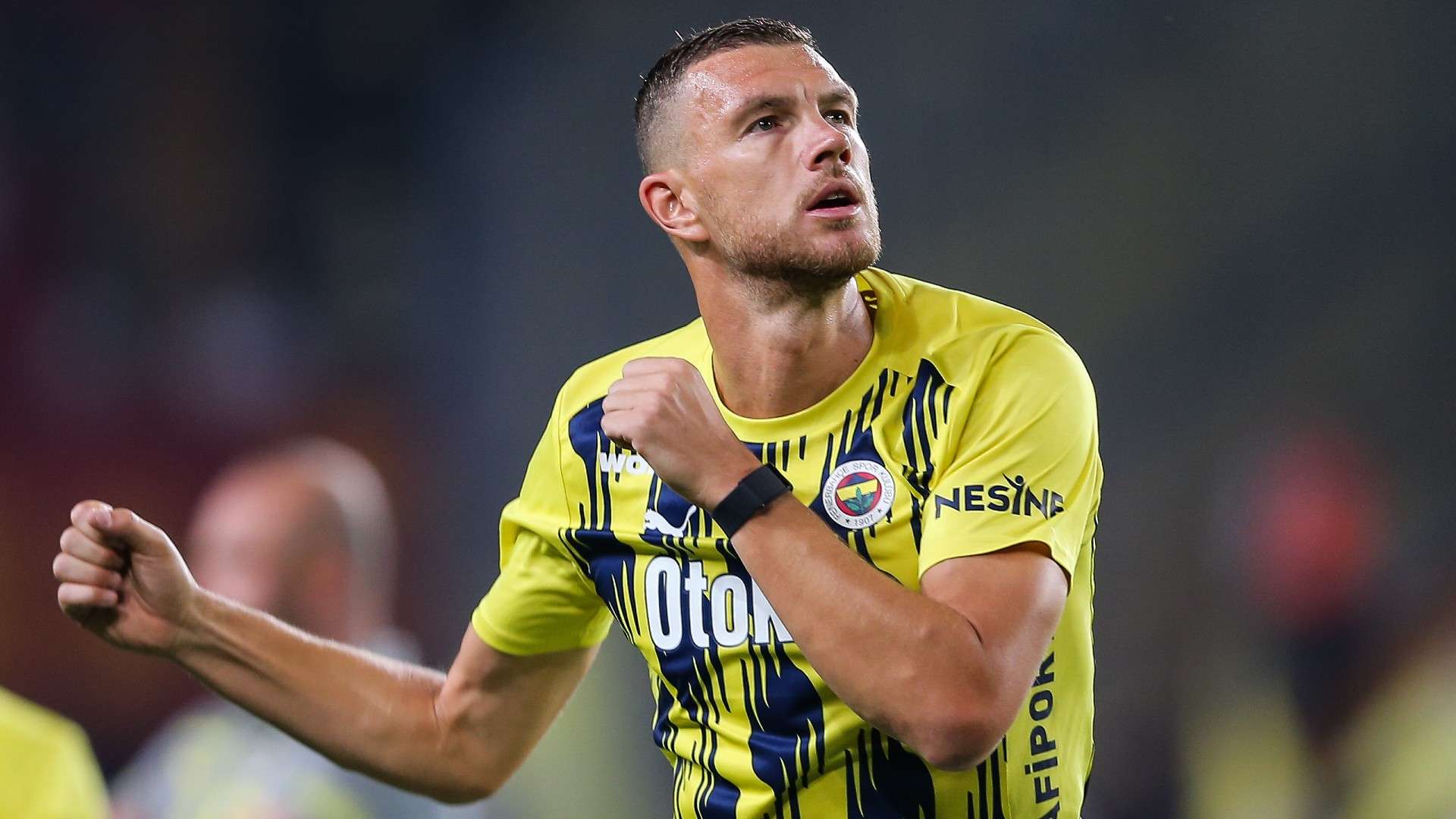 Eden Dzeko of Fenerbahce applauds