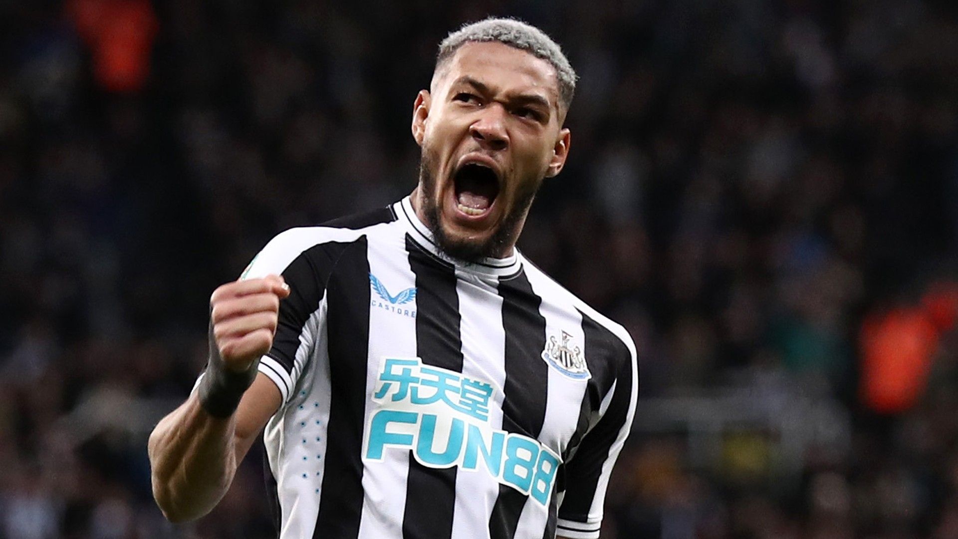 Joelinton Newcastle 2022-23