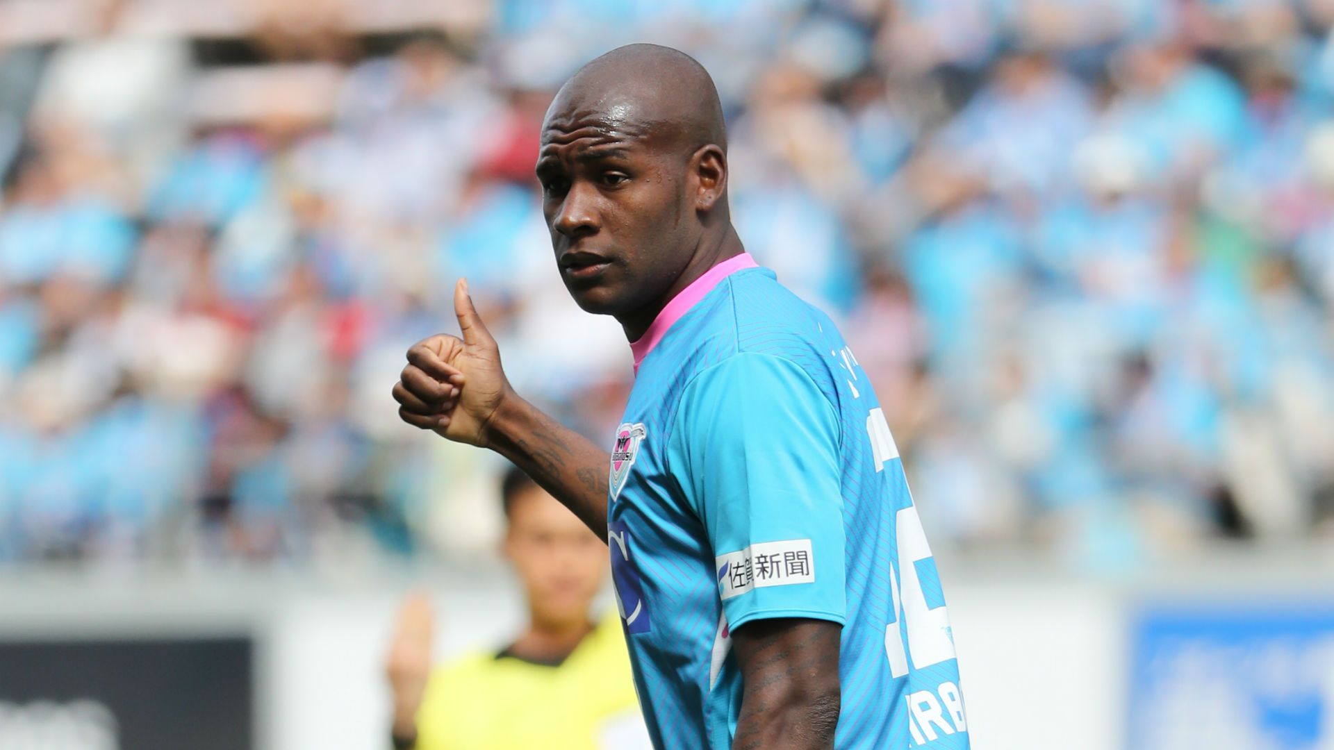 2019-02-15-tosu-ibarbo