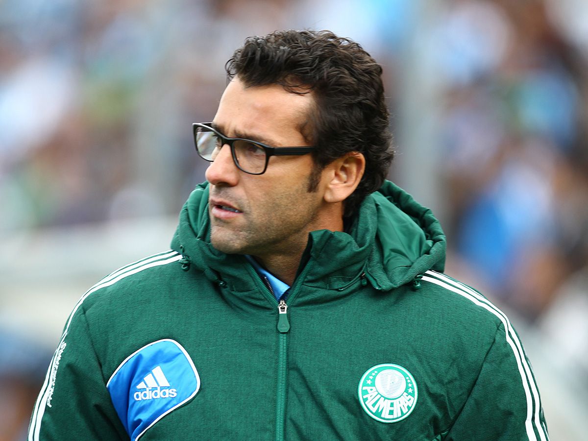 Alberto Valentim Palmeiras Brasileirao 06012014