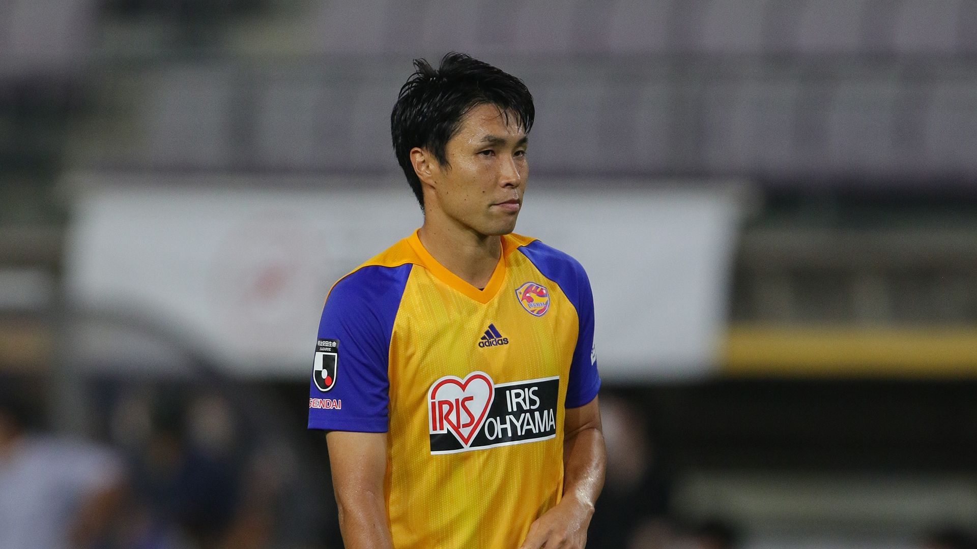 20201026_hachisuka