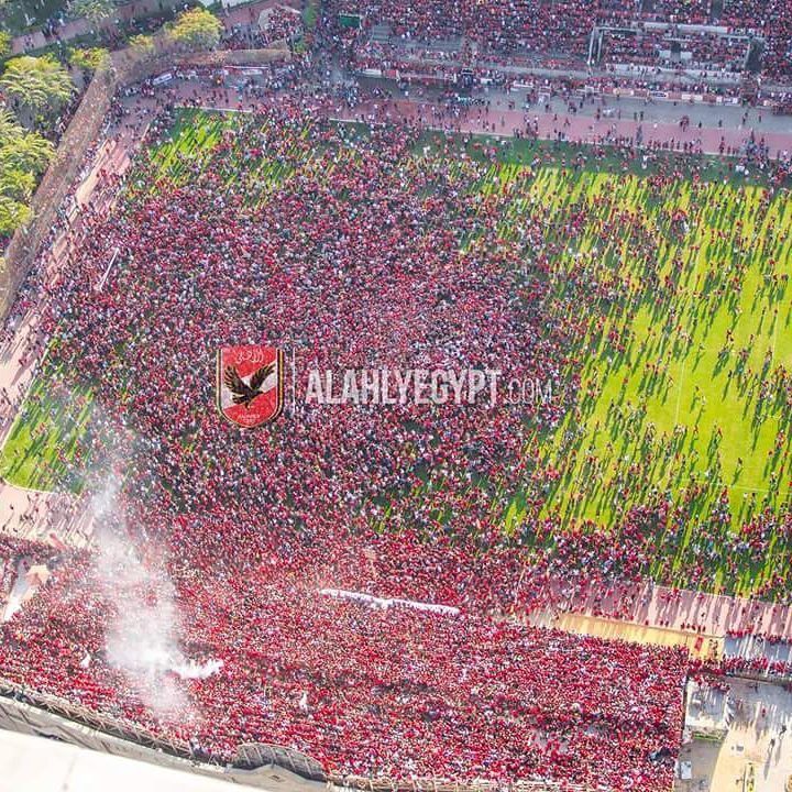 Al Ahly fans