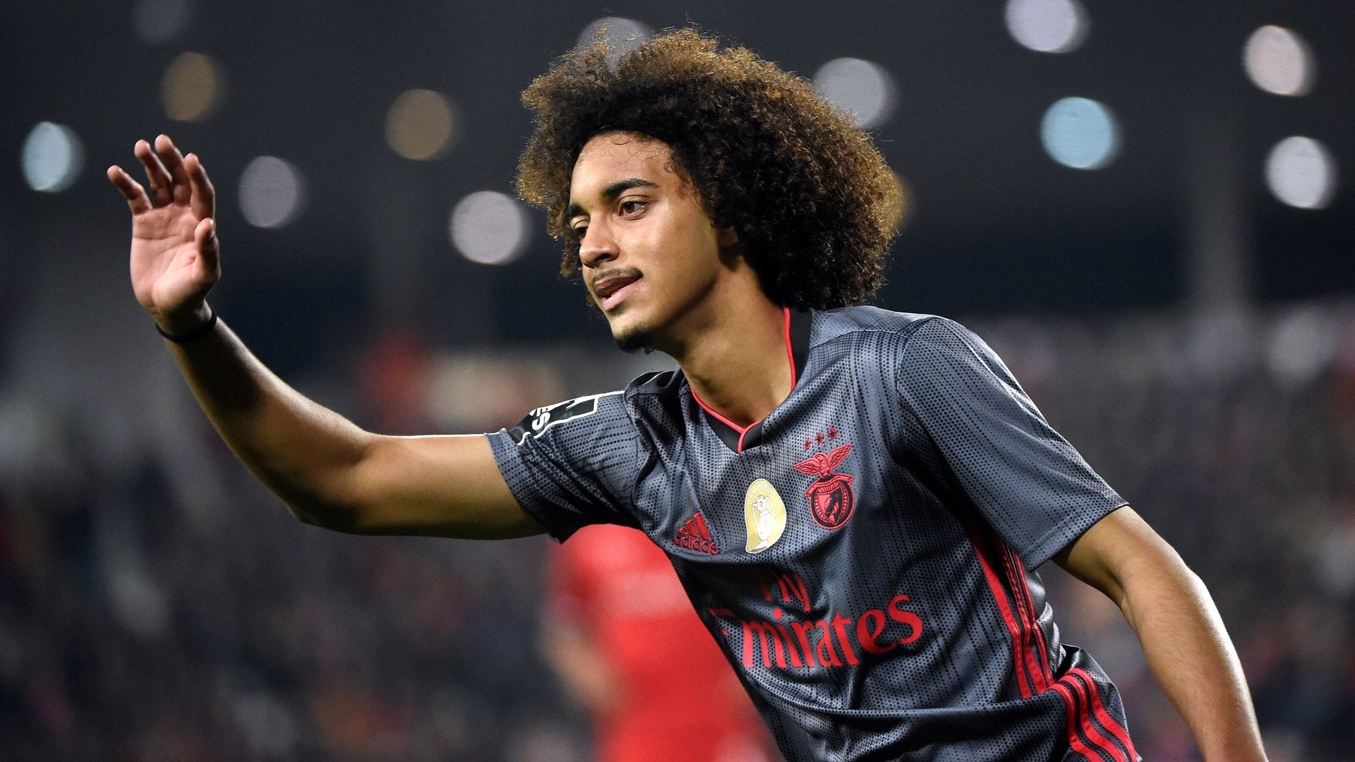 Tomas Tavares Benfica