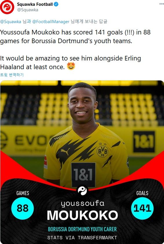 유수파 모우코코