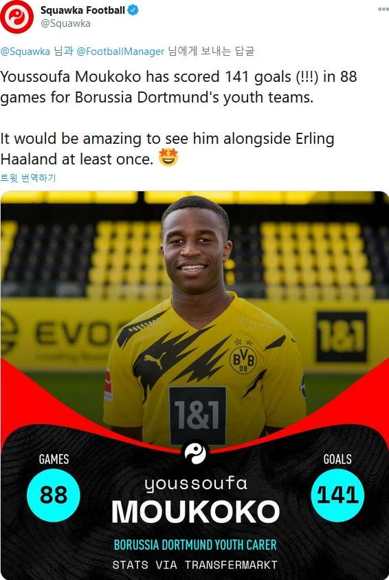 유수파 모우코코