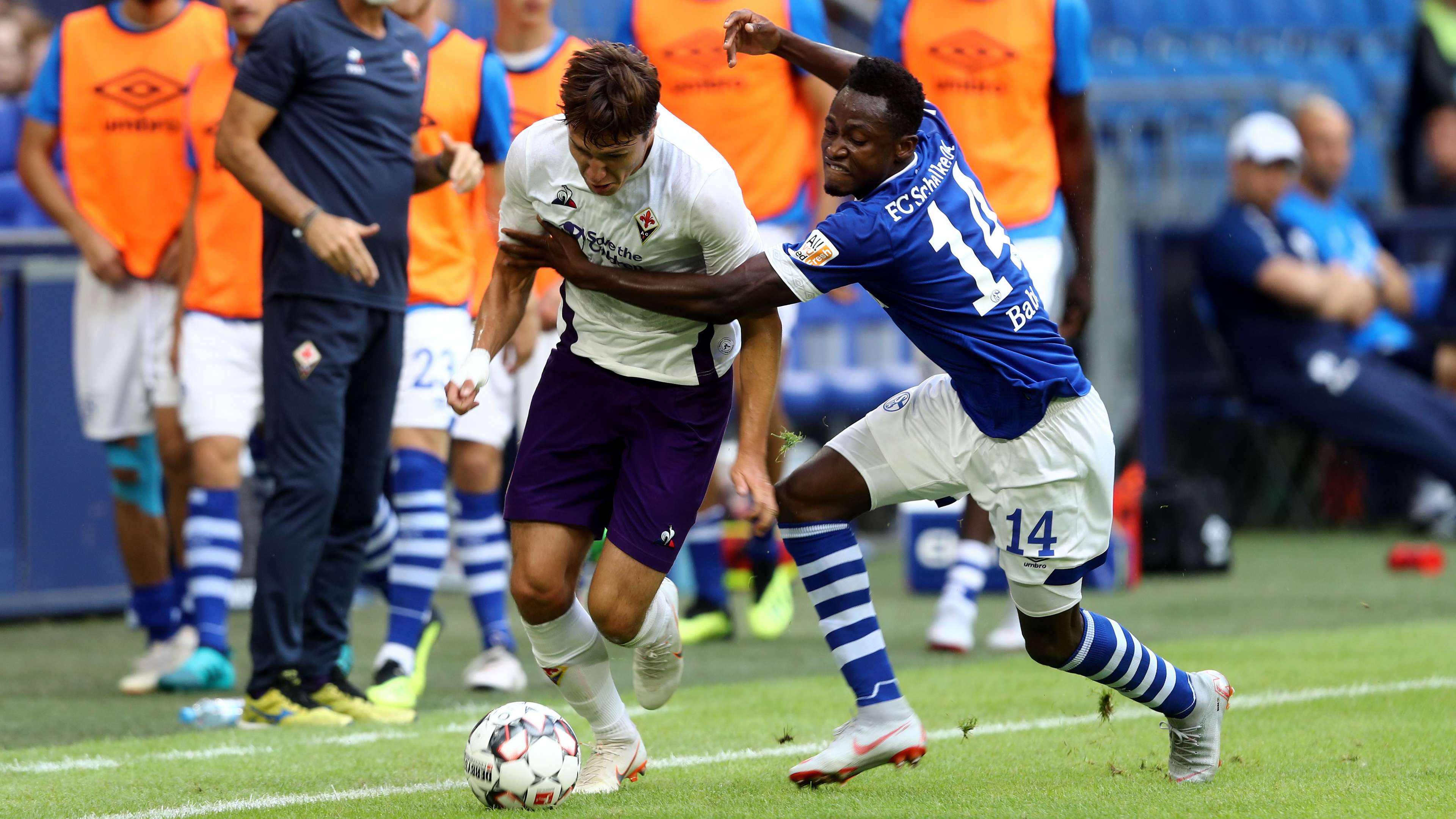 Schalke Fiorentina