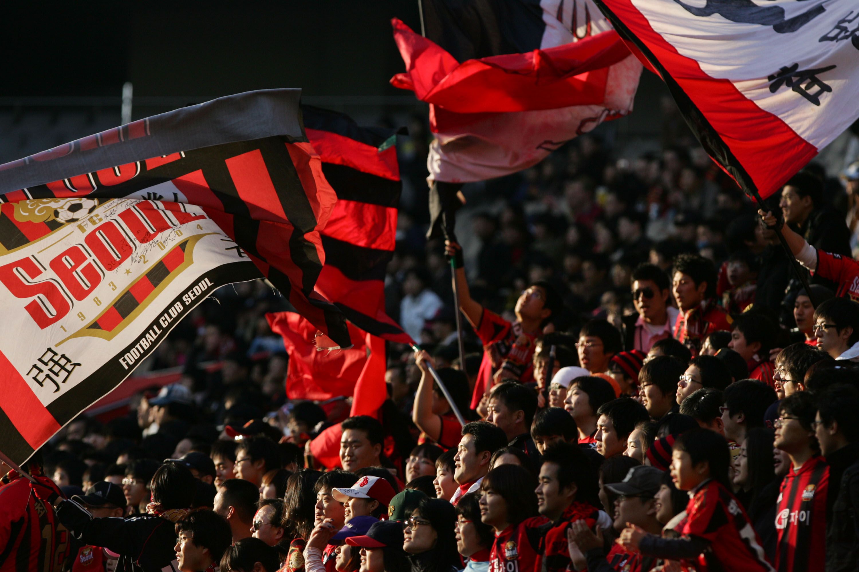 FC Seoul Fan