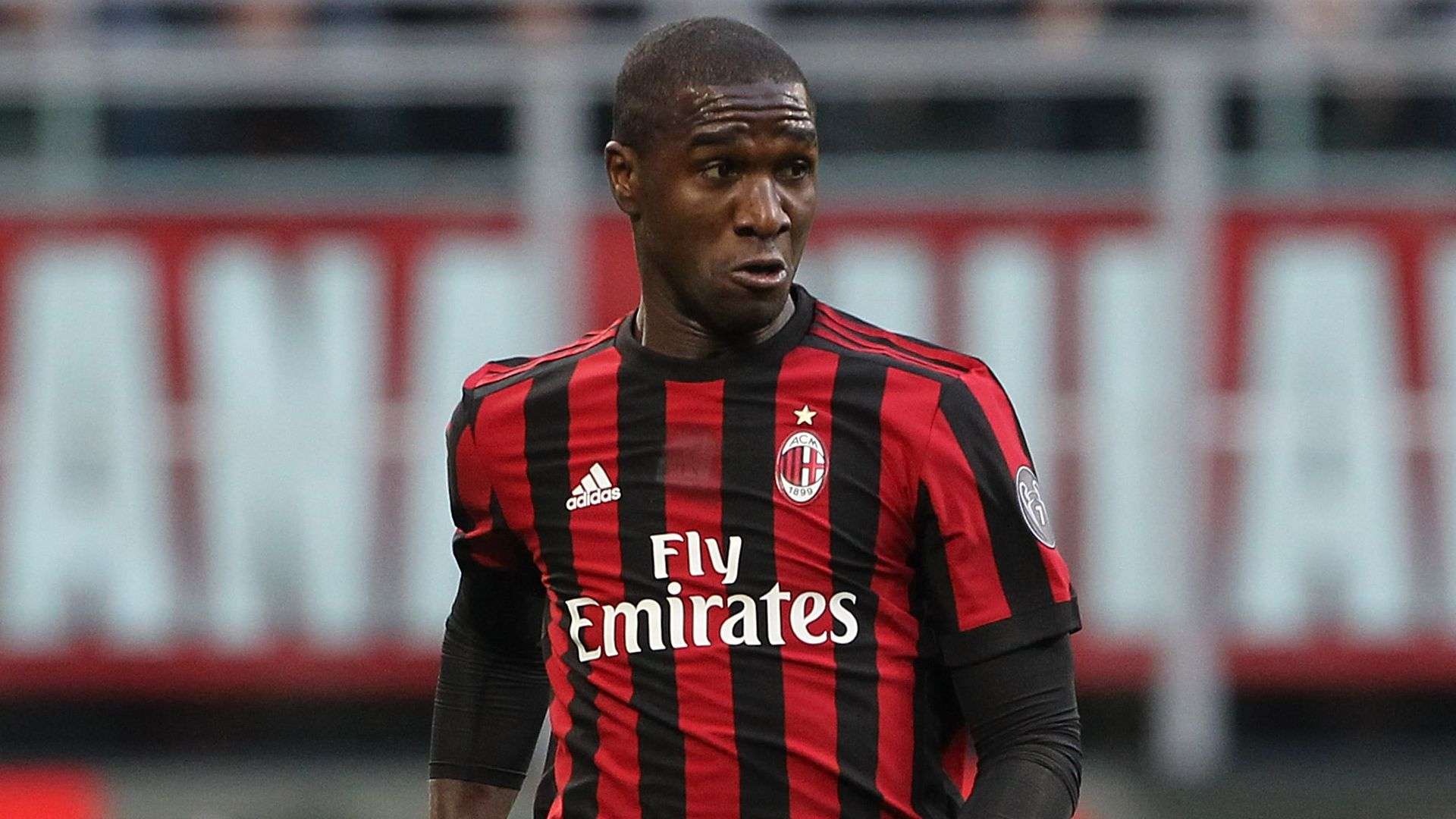 Zapata Milan