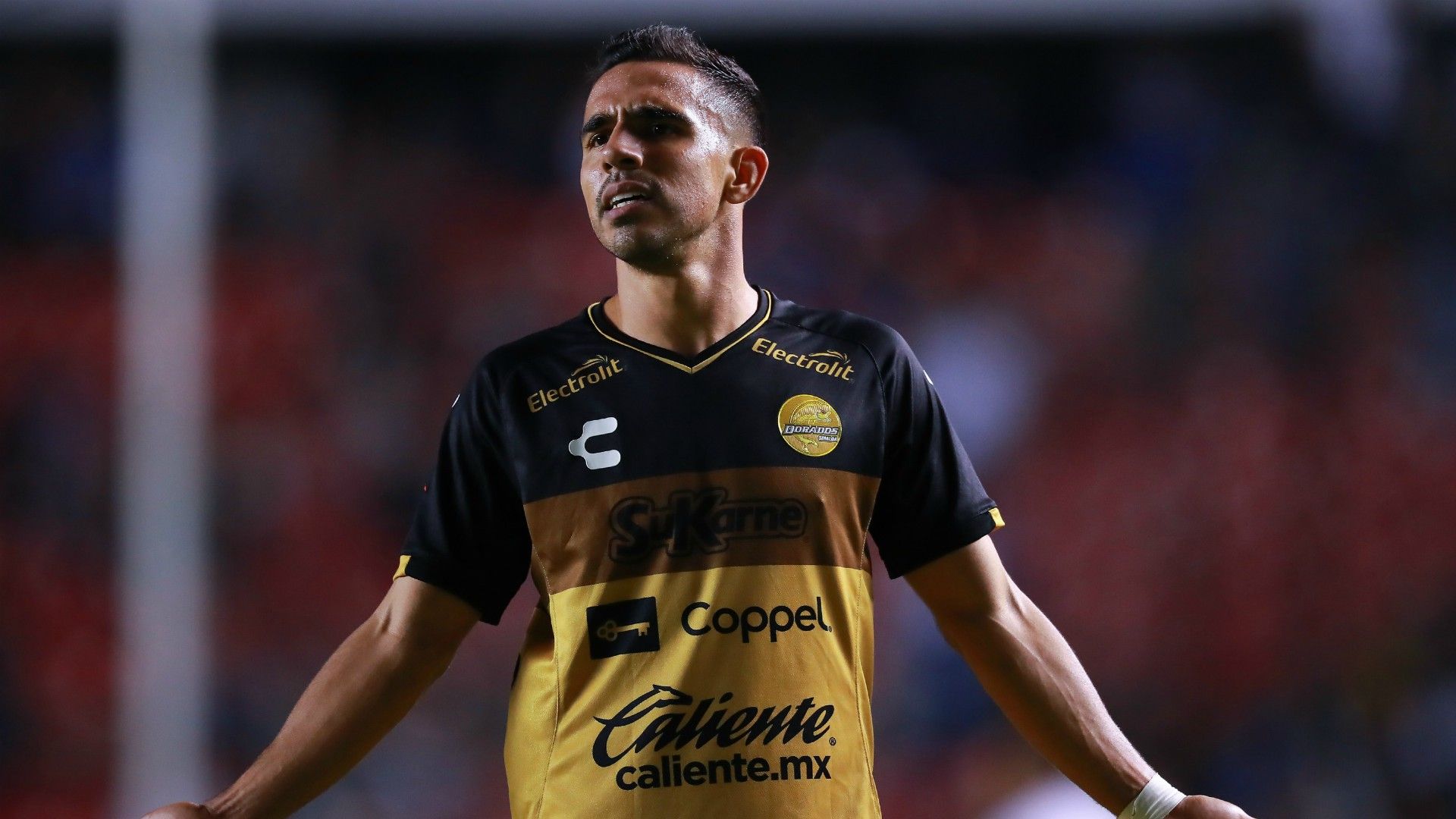 Jesús Escoboza Dorados