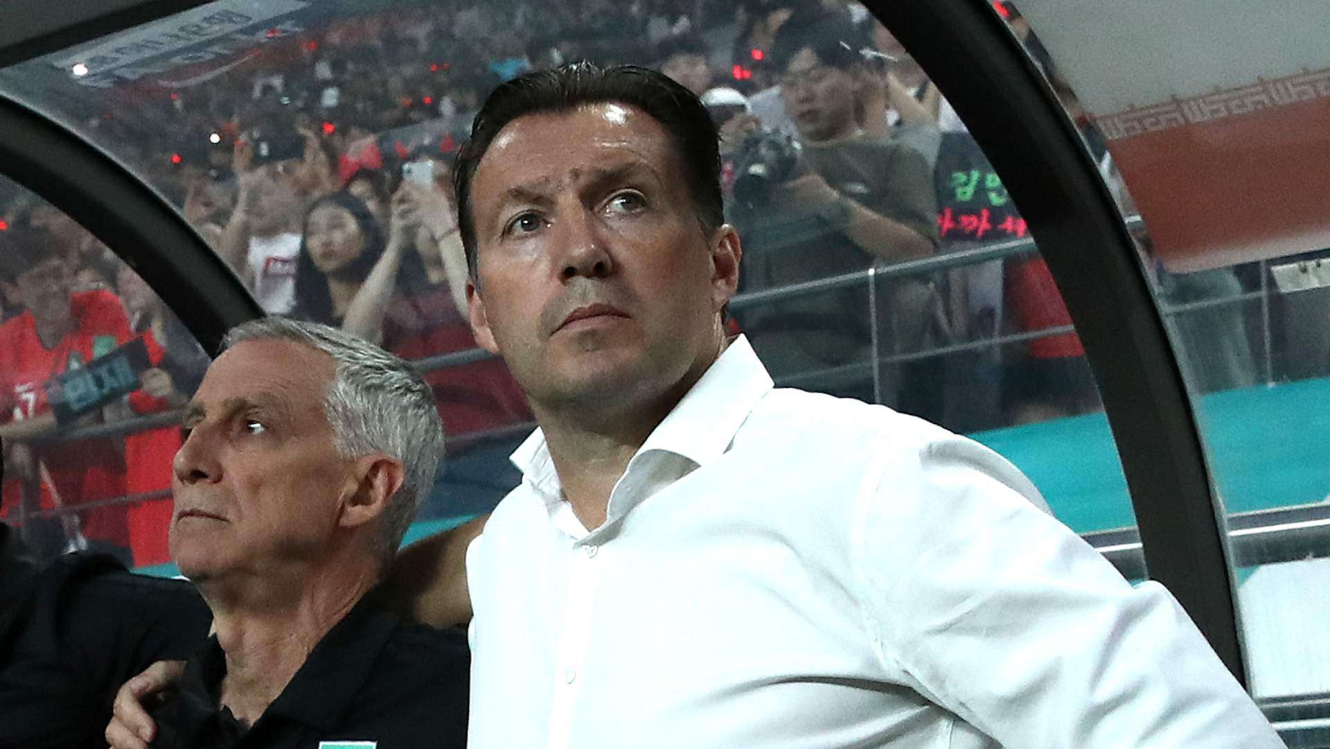 Marc Wilmots Iran 2019-06-11