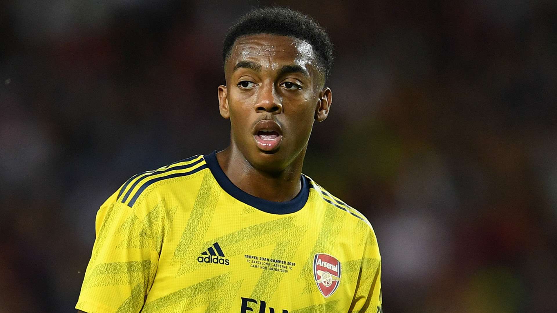 Joe Willock Arsenal 2019-20