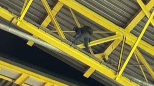 Dortmund Germany Denmark Mask