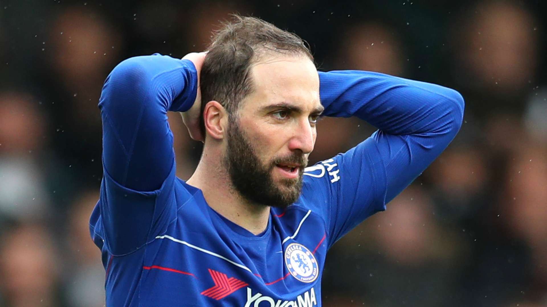 Gonzalo Higuain Chelsea 2018-19