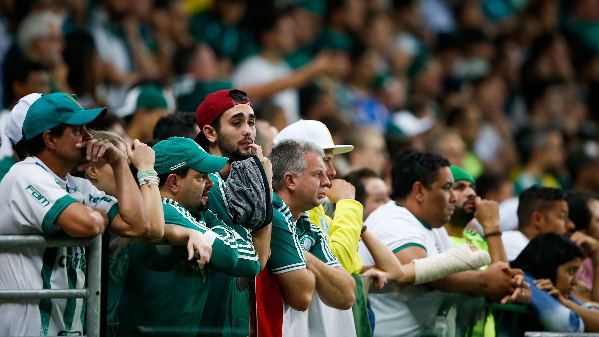 Torcida Palmeiras Cruzeiro Brasileirao Serie A 30102017