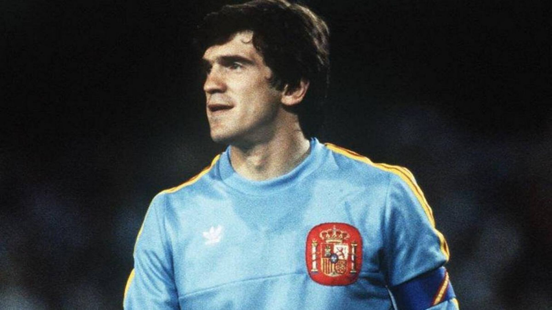 Luis Miguel Arconada España