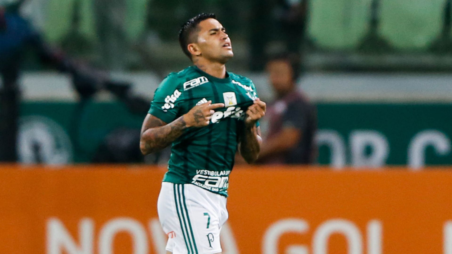 Dudu Palmeiras Botafogo Brasileirao Serie A 27112017