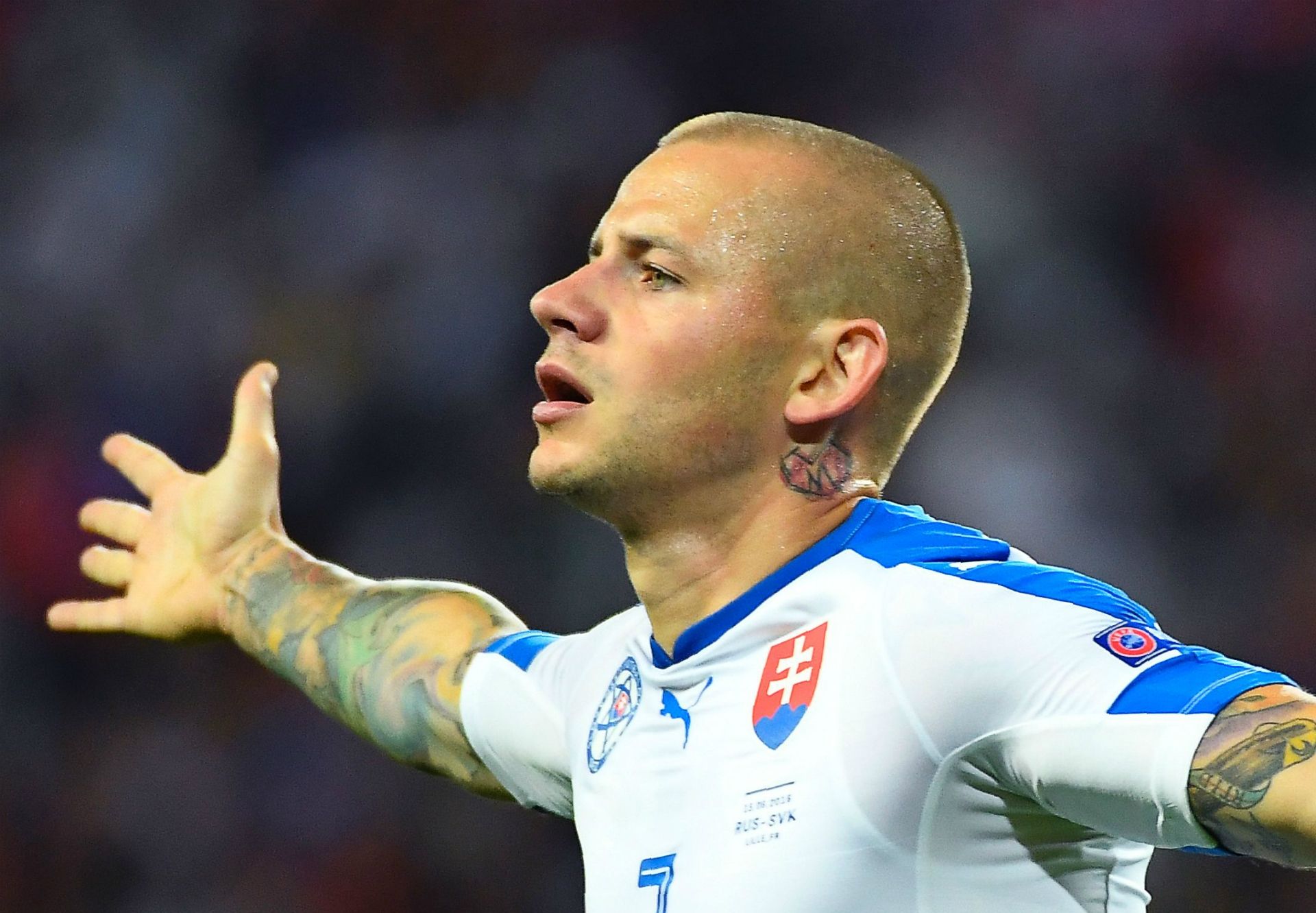 HD Vladimir Weiss