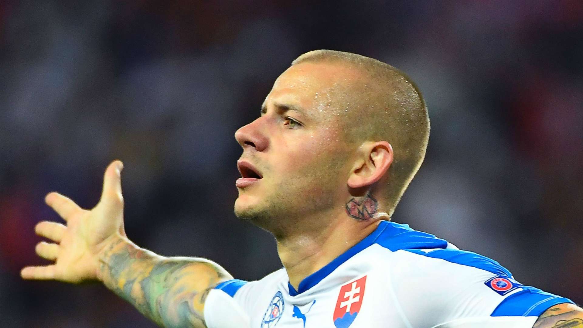 HD Vladimir Weiss