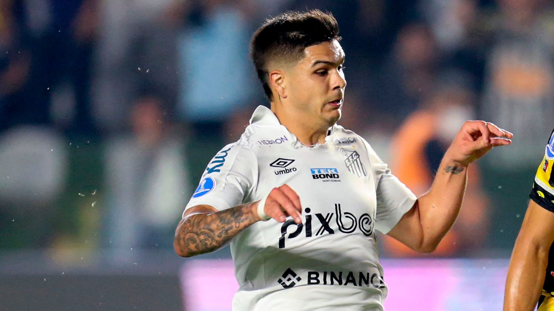 Rodrigo Fernandez Santos