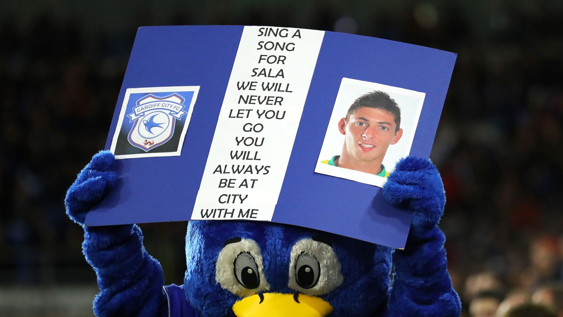 Emiliano Sala tribute
