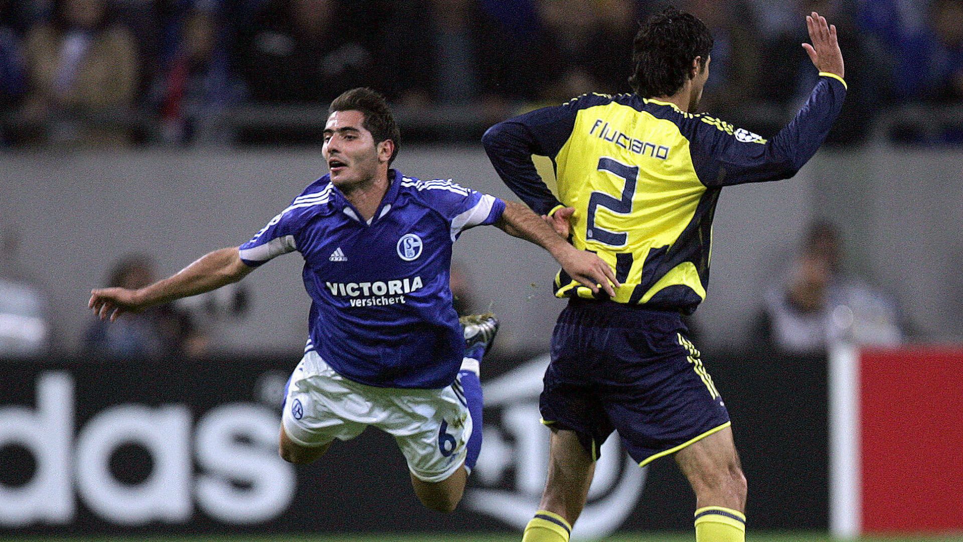 Luciano Hamit Altintop Fenerbahce Schalke