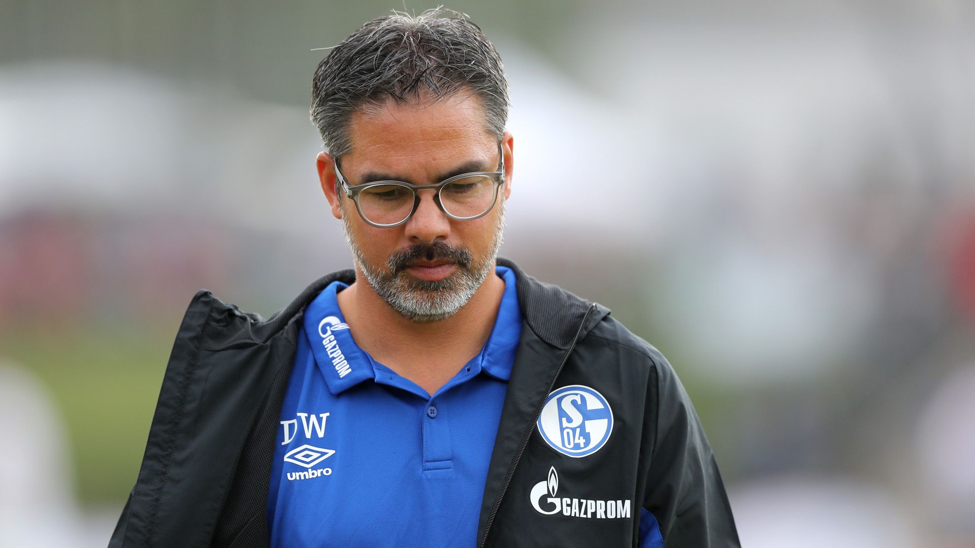 David Wagner Schalke 19072019