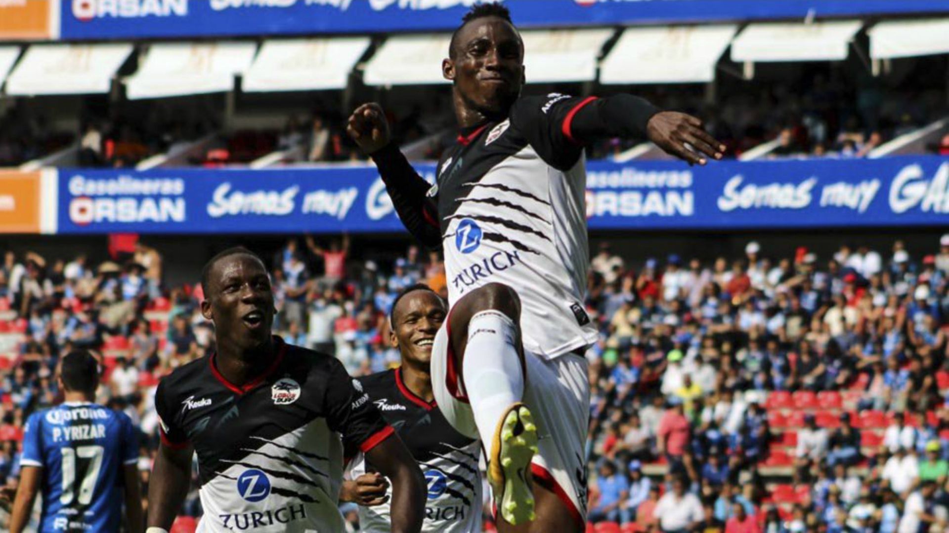 Lobos BUAP