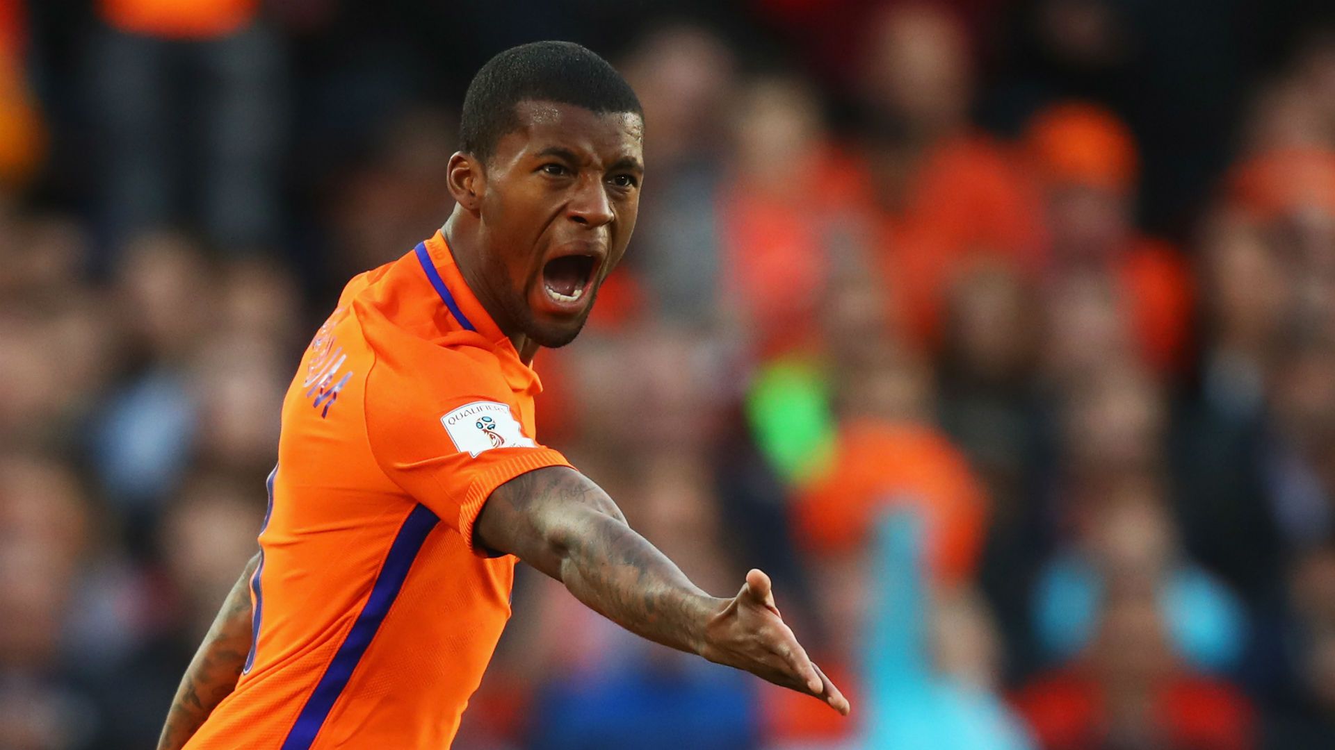 Georginio Wijnaldum Netherlands