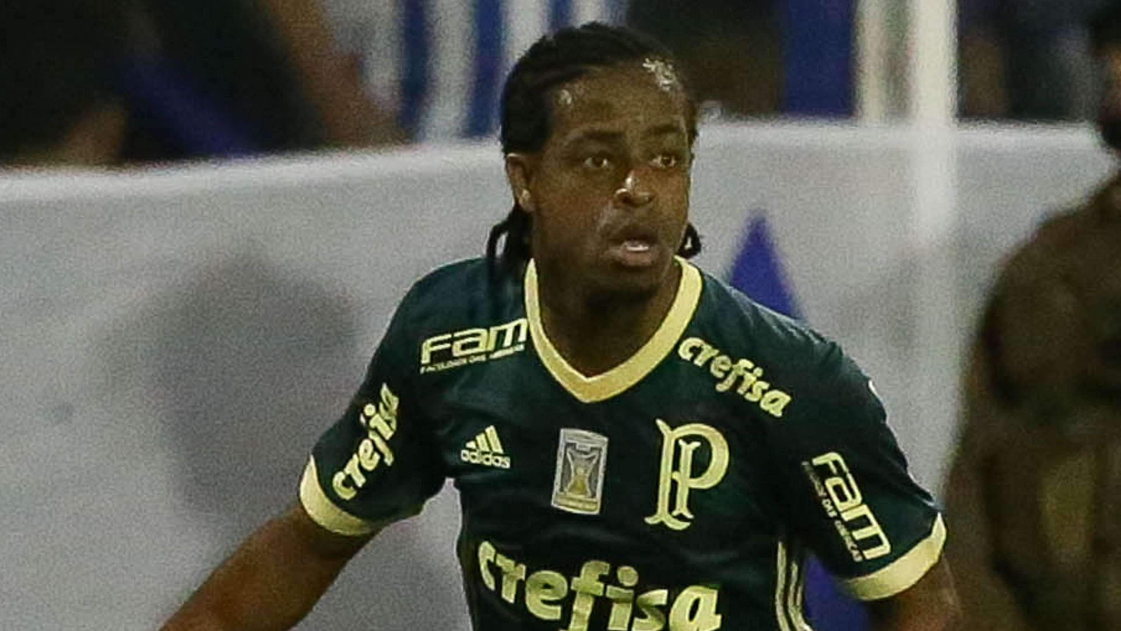 Keno Avai Palmeiras Brasileirao Serie A 20112017