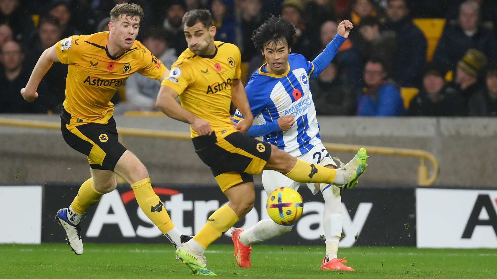 20221107 Kaoru Mitoma