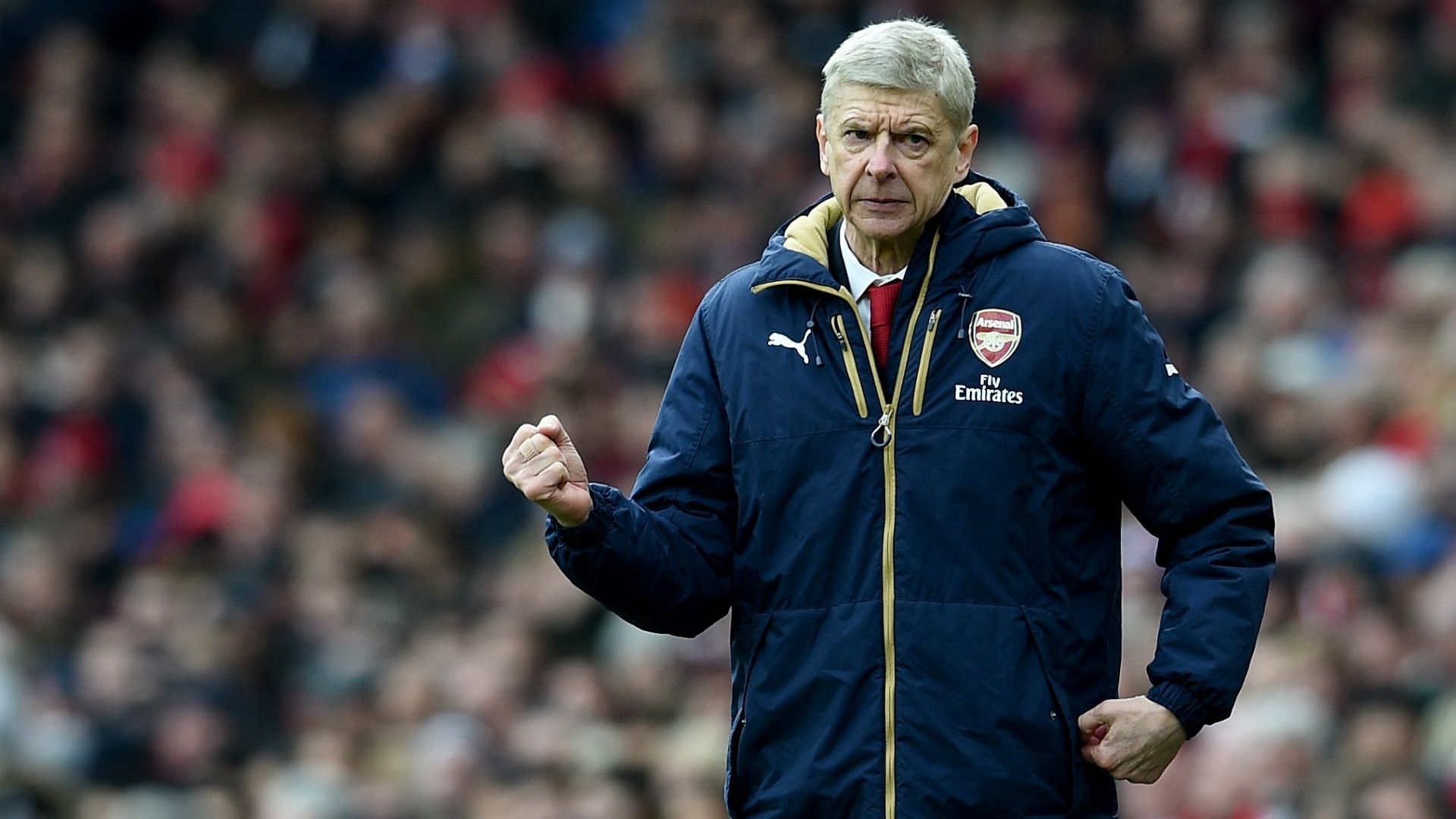 Arsene Wenger | Arsenal x Leicester City | Premier League 2015/2016 | 14/02/2016