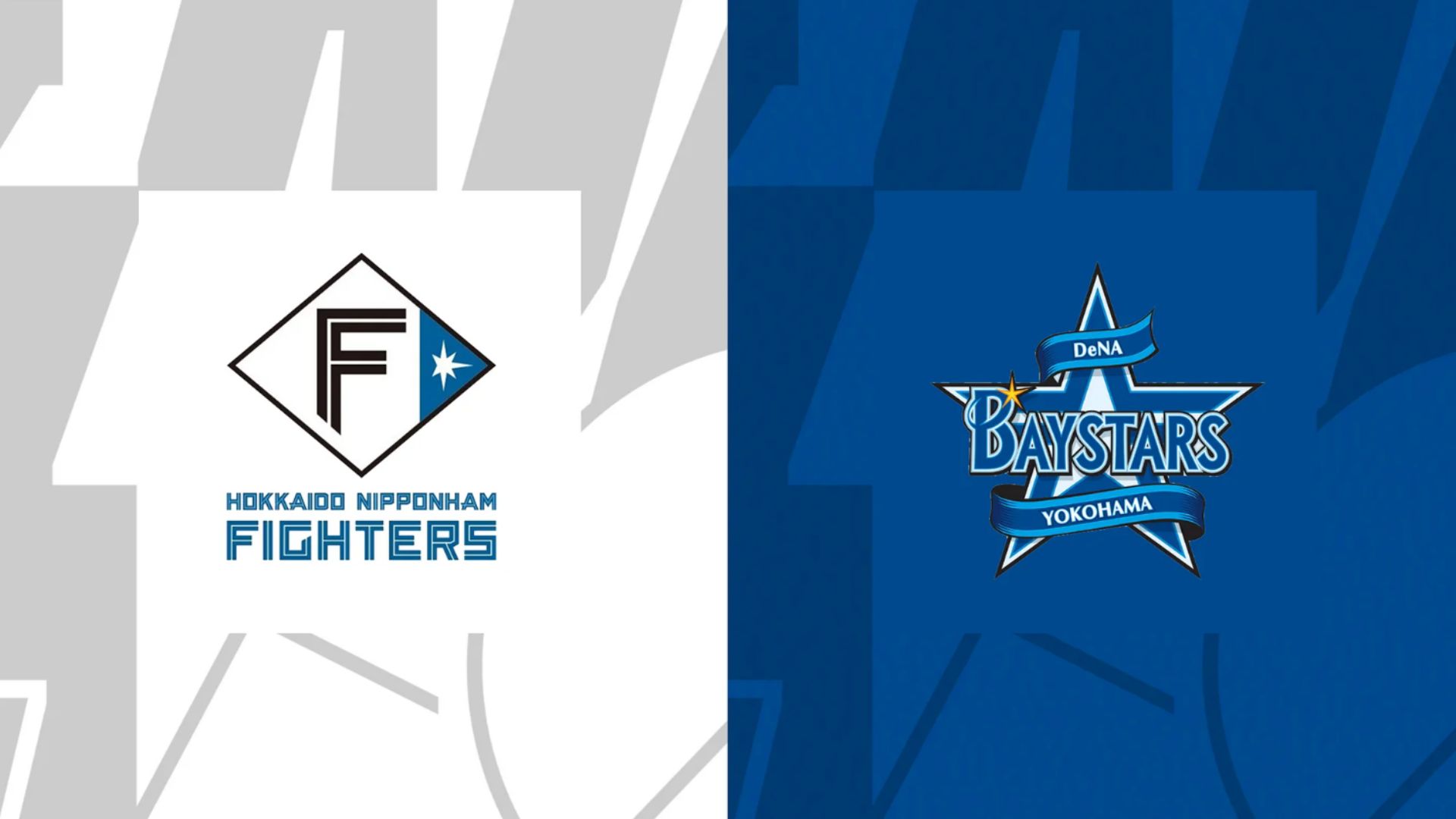 fighters baystars 2024