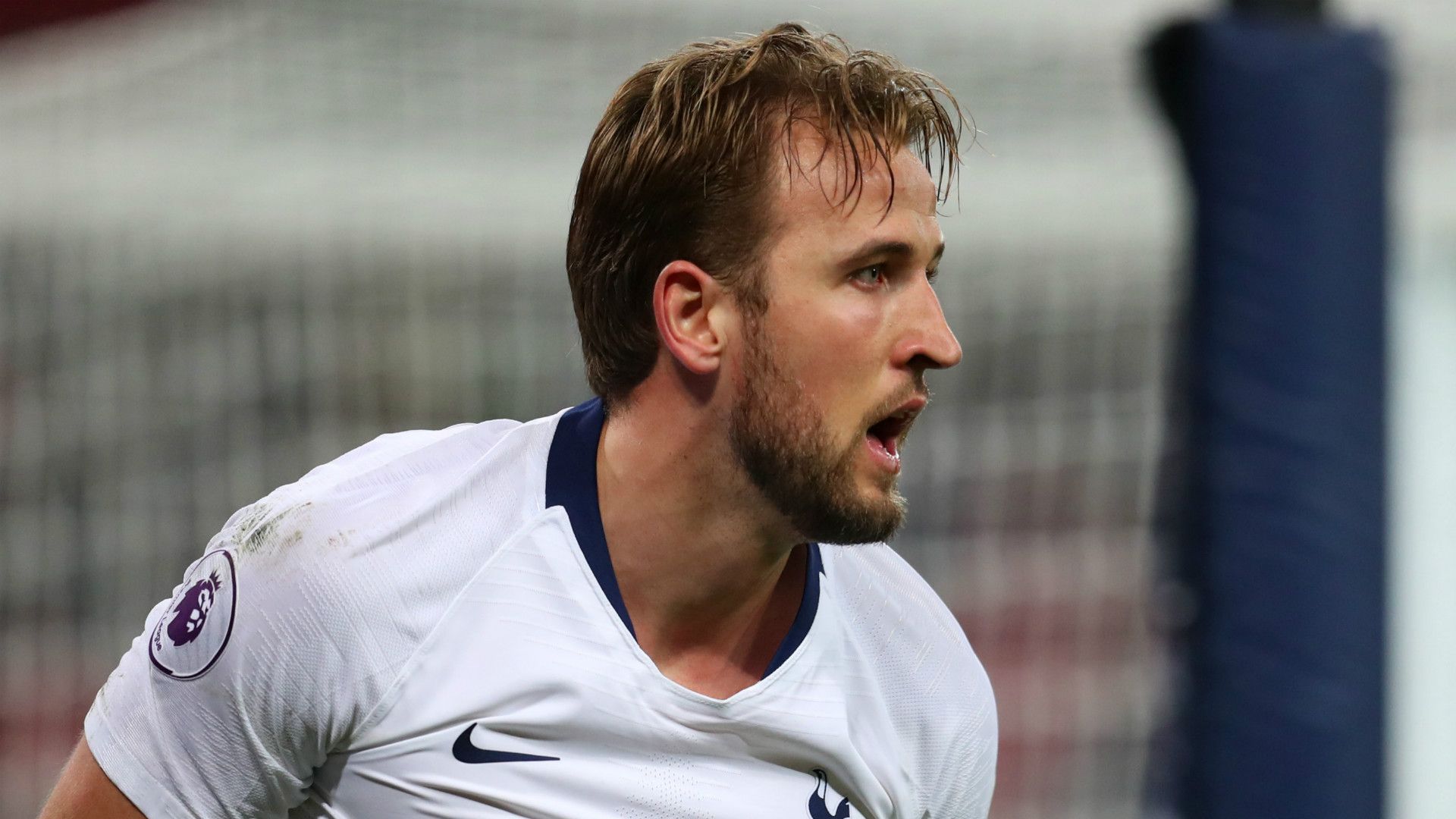 Harry Kane Tottenham 2018-19