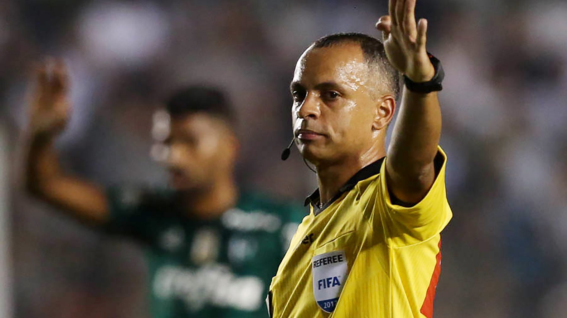 Wilton Pereira Sampaio arbitro Santos Palmeiras Brasileirao Serie A 14062017
