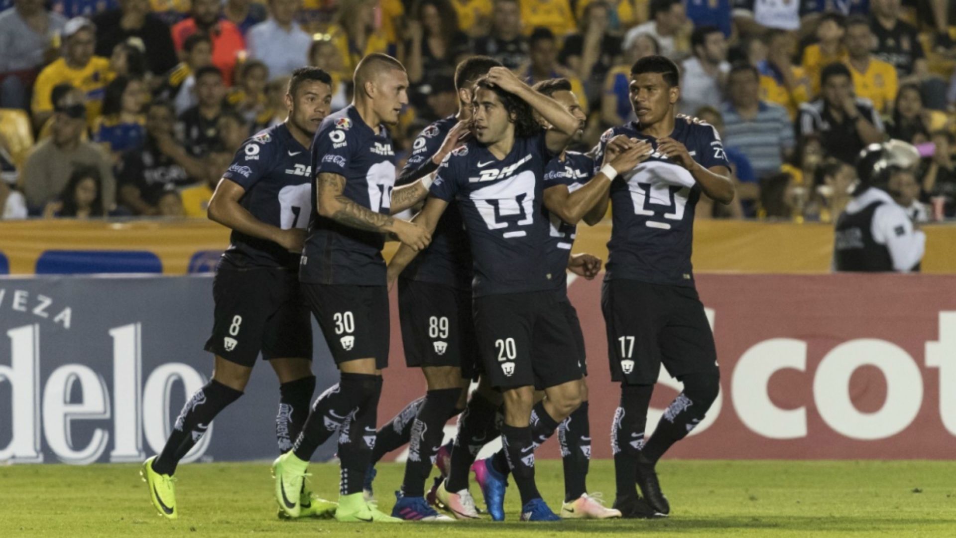 Pumas
