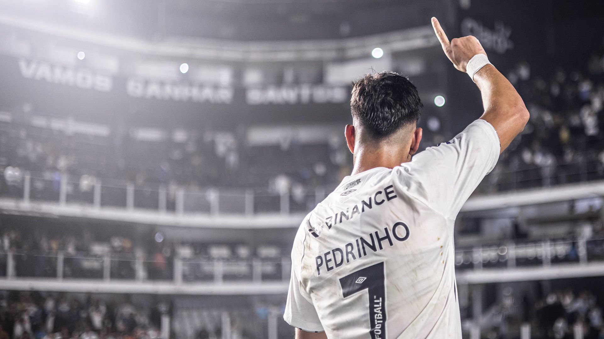 Pedrinho, Santos, 2024