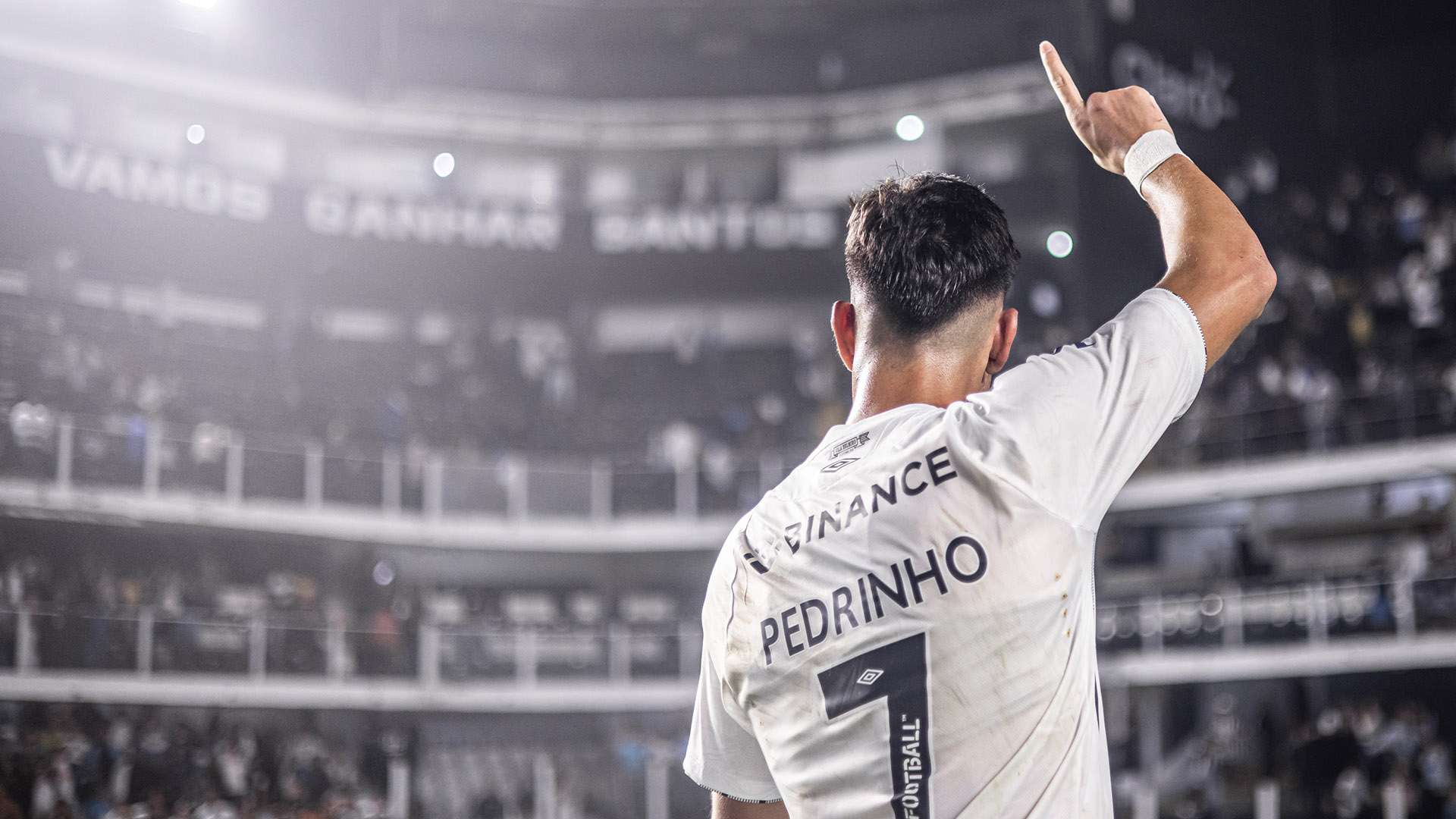 Pedrinho, Santos, 2024