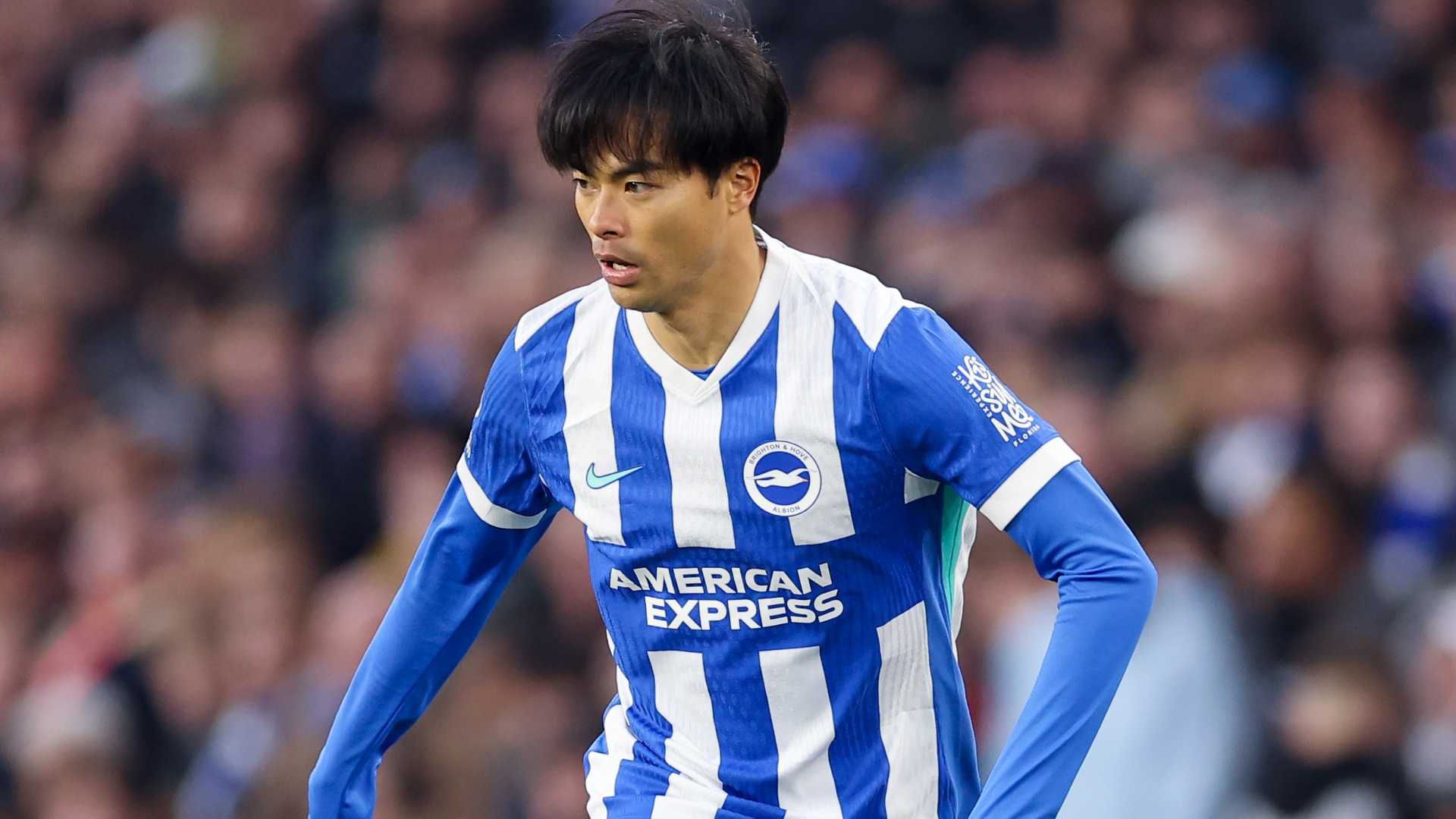 mitoma 
