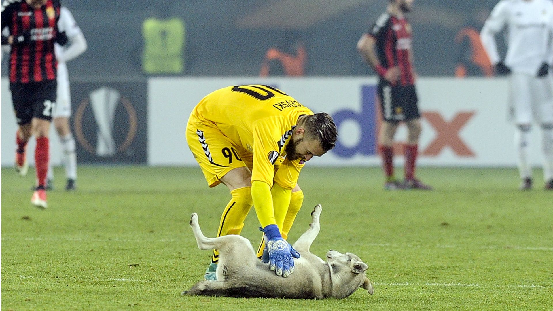 Cachorro Vardar Rosenborg 09102018