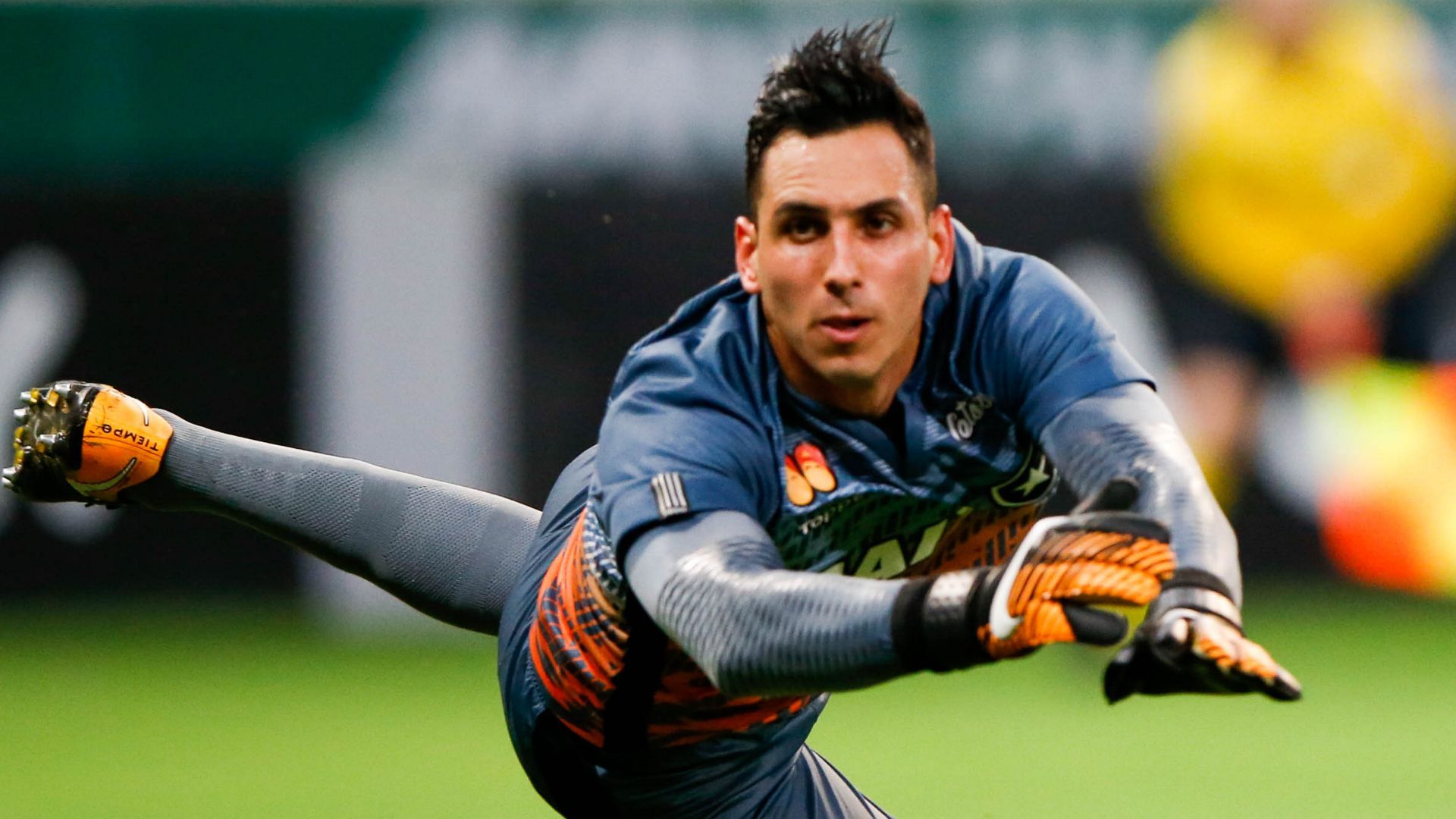 Gatito Fernandez Palmeiras Botafogo Brasileirao Serie A 27112017