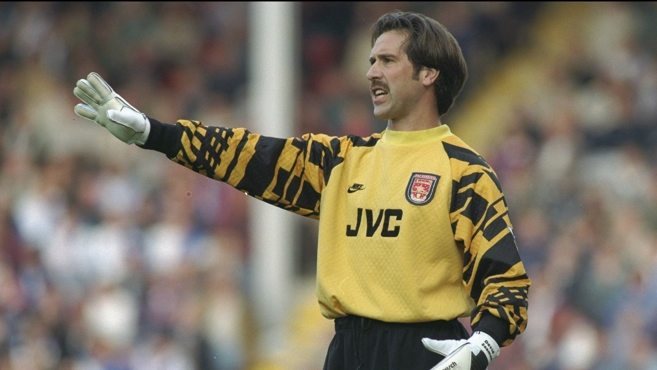 David Seamen Arsenal