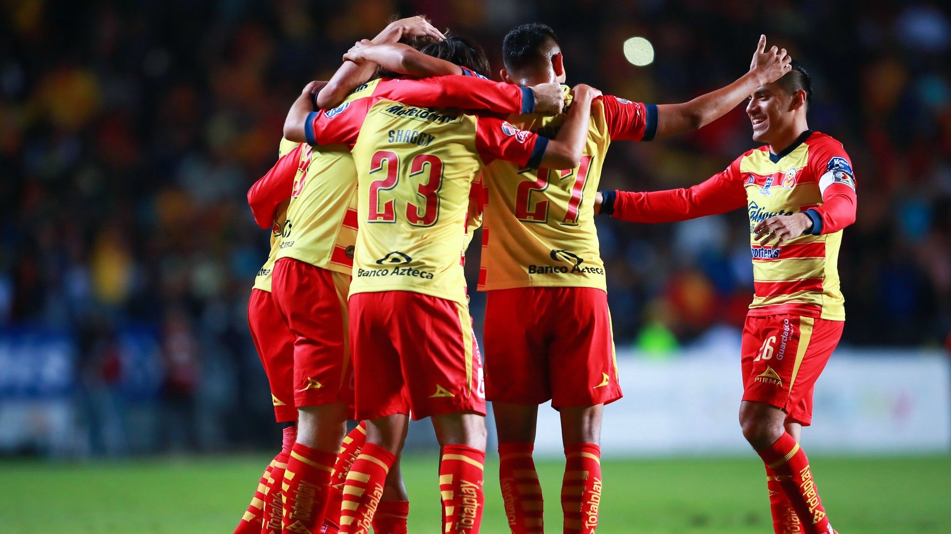 Morelia Aperutra 2019