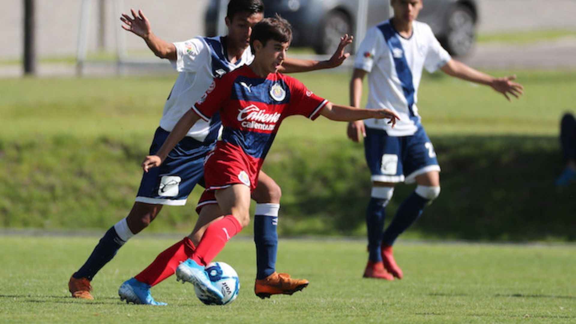 Sebastián Pérez Bouquet Chivas