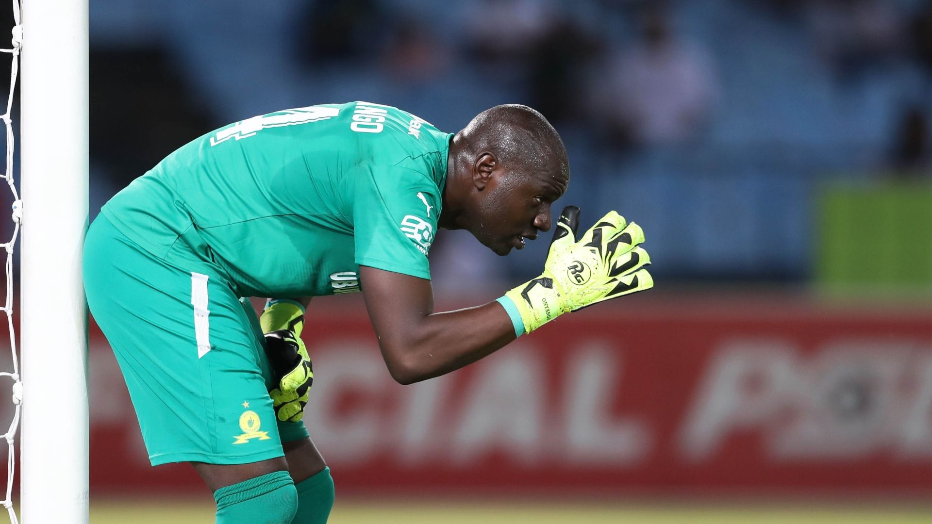 Denis Onyango, Mamelodi Sundowns