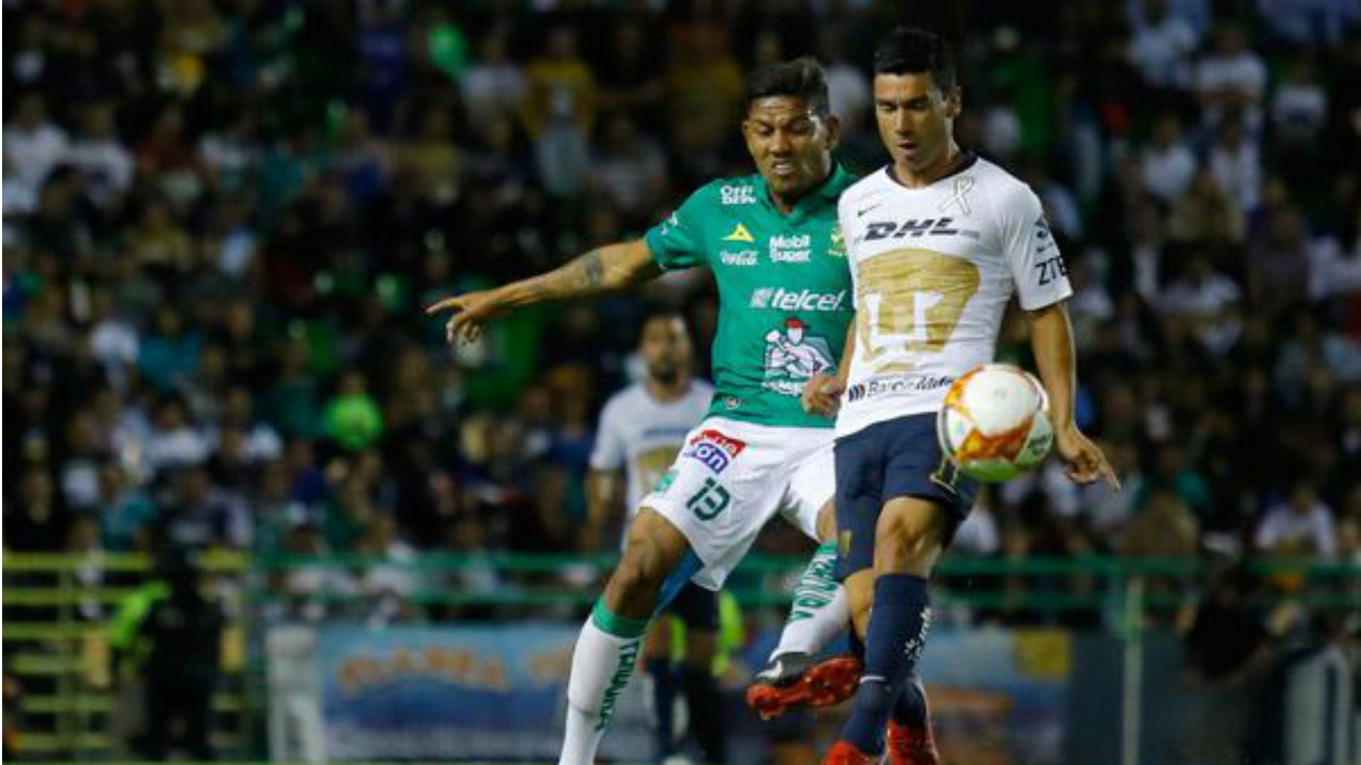 León Pumas